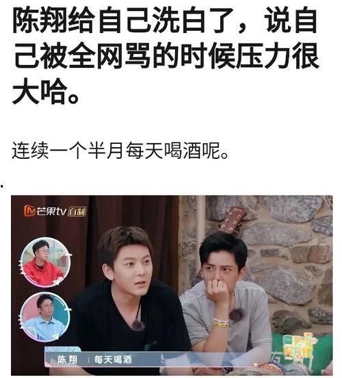 陈翔助理爆料视频大全集,揭秘明星幕后故事 第2张 陈翔助理爆料视频大全集,揭秘明星幕后故事 第2张