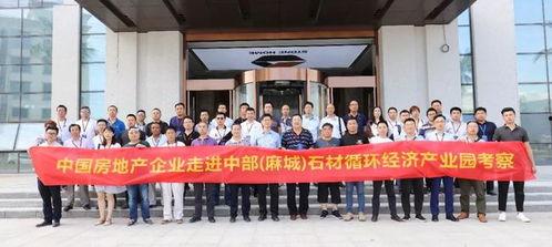 麻城石材厂爆料视频,揭秘石材行业背后真相 第1张 麻城石材厂爆料视频,揭秘石材行业背后真相 第1张