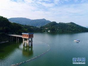 莆田水库爆料事件视频最新,真相与争议交织的环保风暴 第3张 莆田水库爆料事件视频最新,真相与争议交织的环保风暴 第3张